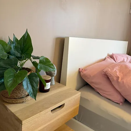 Newly Renovated Downtown In The Old Town Of Appartement