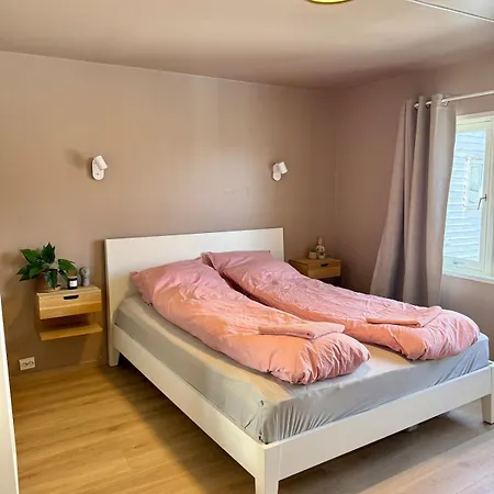Newly Renovated Downtown In The Old Town Of Appartement *